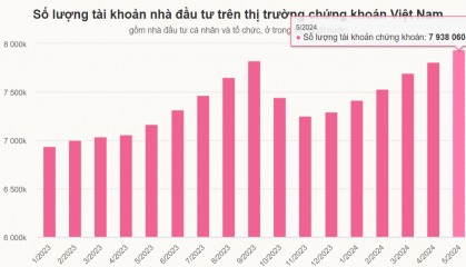 越南证券账户激增背后的市场动因与潜在影响