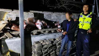 重庆巫溪一男子在自家田地放置捕兽夹，非法狩猎野生保护动物被抓获