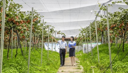 邮银协同：点燃产业新活力