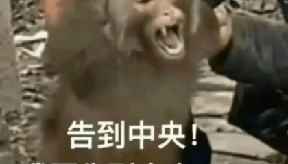 新型鬼秤冲上热搜!多平台已出现!律师提醒→
