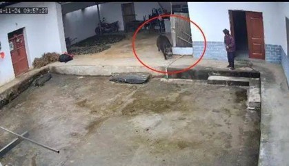 官方确认已不幸身亡