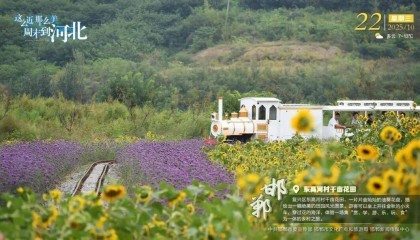 “人工智能+”行动！河北最新发布