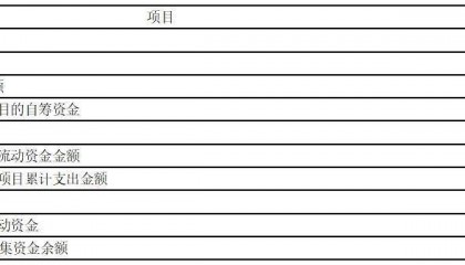 证券代码：000021 证券简称：深科技 公告编码：2024-008
