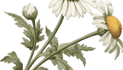 【喜报】2025年“玫瑰书香”全省女职工主题阅读活动获奖名单出炉！绥化市总工会5项获奖