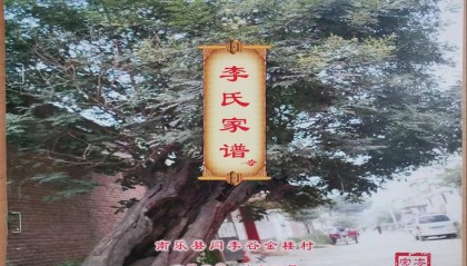 漫谈我村新编李氏家谱的修订