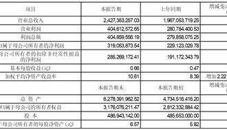 证券代码：688106 证券简称：金宏气体 公告编号：2024-017 转债代码：118038 转债简称：金宏转债