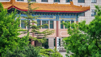 民政部区划地名司：研究特大镇设市的新路径、新模式