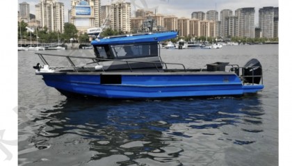 事故调查报告：一潜水者被所乘游艇艇尾挂机螺旋绞中后死亡