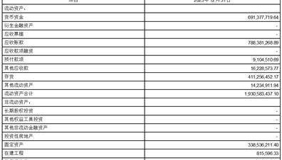 证券代码：000021 证券简称：深科技 公告编码：2024-002