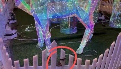 九寨沟一酒店大堂出现蝮蛇,小孩还摸了蛇头!当地通报:孩子没被咬伤,已全面排查