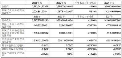 证券代码：002379 证券简称：宏创控股 公告编号：2024-010