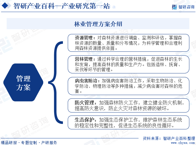 智研咨询发布：林业行业市场动态分析、发展方向及投资前景分析报告