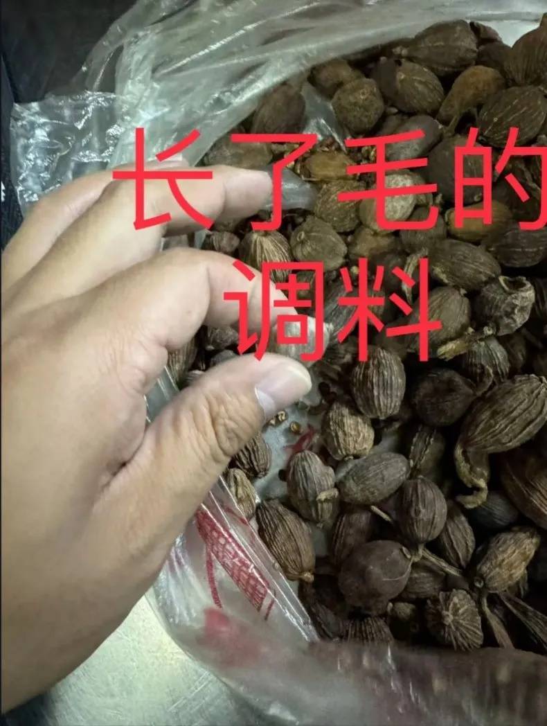 上海世外临港学校食材腐败发霉！据统计：超百学生曾出现腹泻等症状