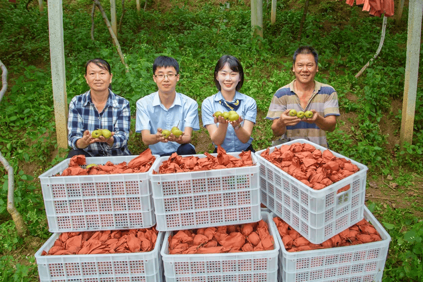 邮银协同：点燃产业新活力