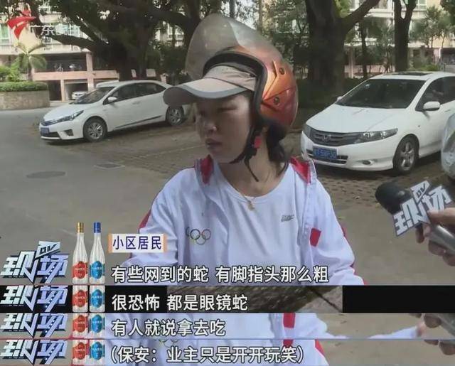 广州一小区2年抓到超60条蛇?业主:家里来过两三条,物业回应