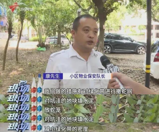 广州一小区2年抓到超60条蛇?业主:家里来过两三条,物业回应