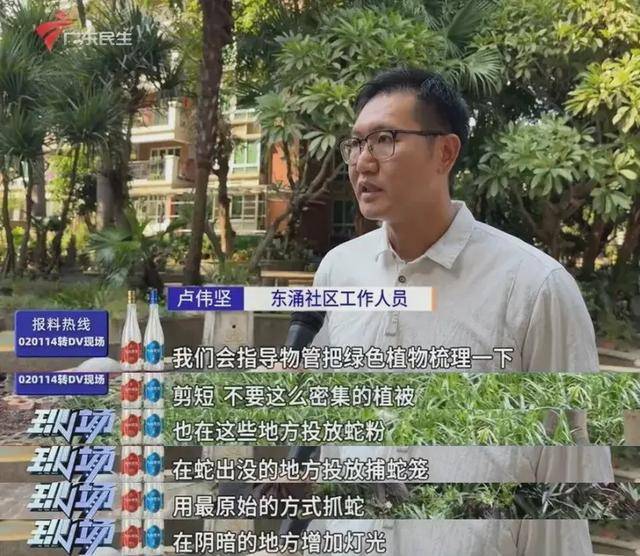 广州一小区2年抓到超60条蛇?业主:家里来过两三条,物业回应