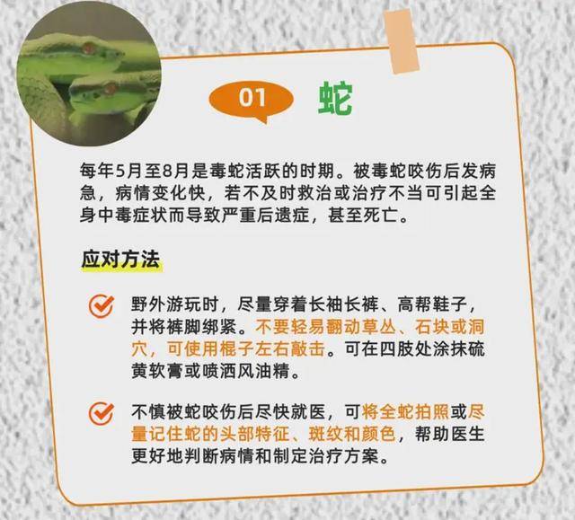 广州一小区2年抓到超60条蛇?业主:家里来过两三条,物业回应