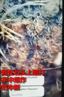 解放军报警!有人拾取3吨多炮弹残片卖钱,甚至有完整弹头?