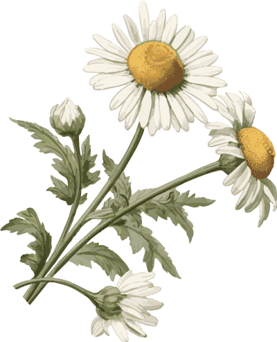 【喜报】2025年“玫瑰书香”全省女职工主题阅读活动获奖名单出炉！绥化市总工会5项获奖